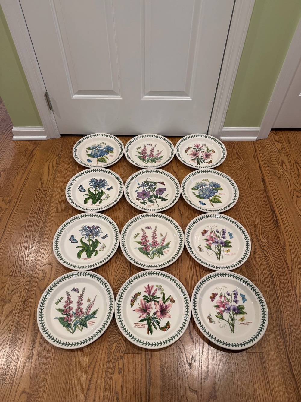Set of 12 Portmeirion Botanic Garden 10.5" Dinner Plates